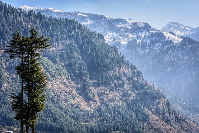 manali, himalayas, quiet, backdrop, landscape, mountains, travel, trek, scenic, early morning, chill, cool, trees, nature, mountain, peak, mountain range, mountain top, outdoor, scenery, snow, sky, rock, top, blue morning, manali, manali, manali, manali, manali