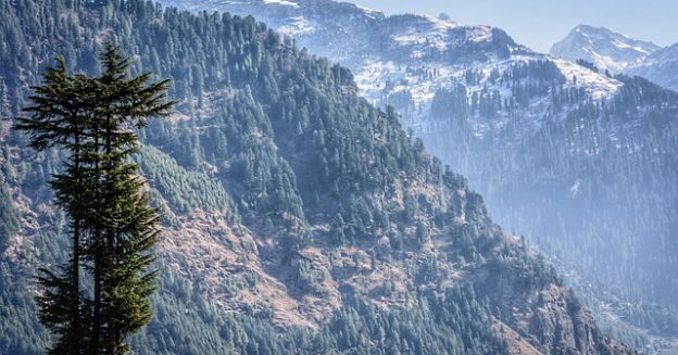 manali, himalayas, quiet, backdrop, landscape, mountains, travel, trek, scenic, early morning, chill, cool, trees, nature, mountain, peak, mountain range, mountain top, outdoor, scenery, snow, sky, rock, top, blue morning, manali, manali, manali, manali, manali