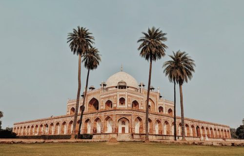 Captured view of Humayun's Tomb in New Delhi, framed by palm trees, a UNESCO World Heritage Site.